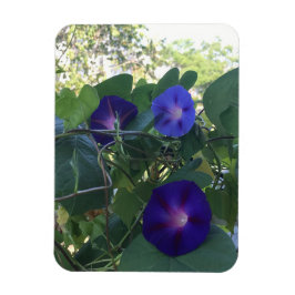 Morning Glory Kaleidoscope Magnet
