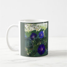 Morning Glory Kalejdoskop