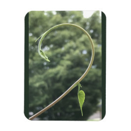 Morning Glory Tendril and Leaf Magnet