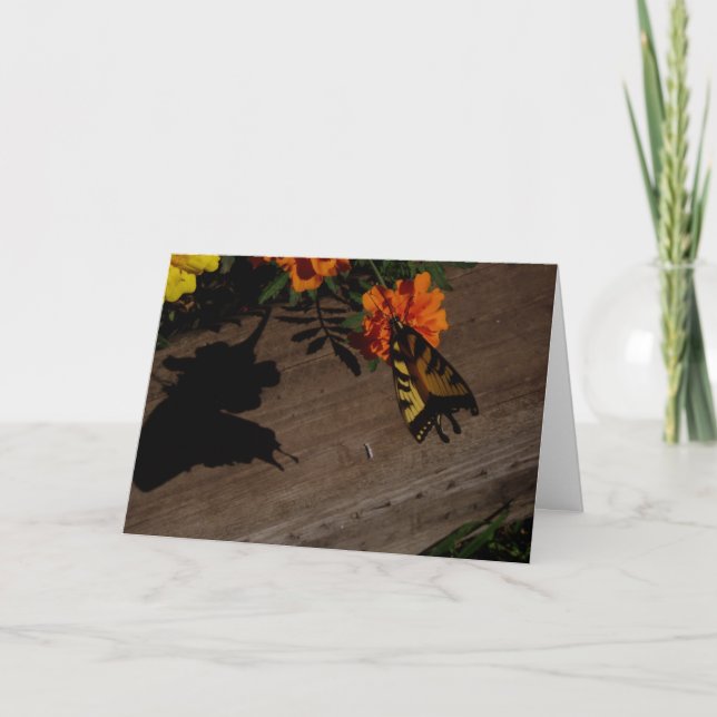 "Morning Shadow" Påskkort Kort (Framsida)