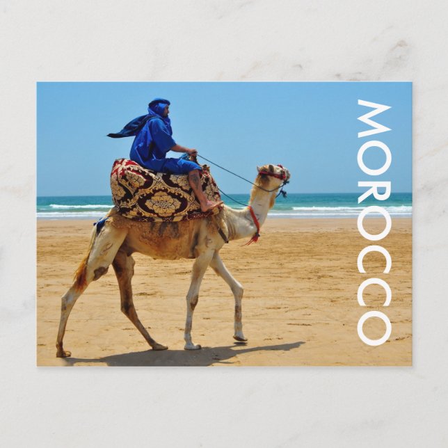 Morocco arab rider kamelstrand vykort (Framsida)