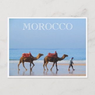 Morocco strandkameror vykort