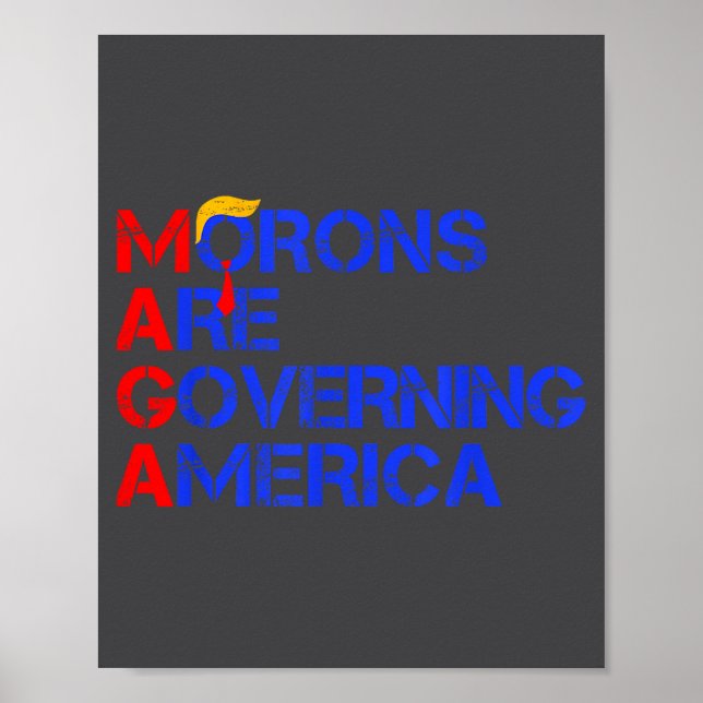 Morons Are Governing America Funny Trump 2024  Poster (Framsidan)