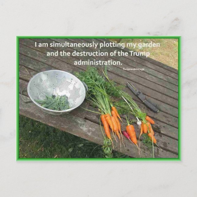  morot och ritning och stötande trump vykort (Framsida)