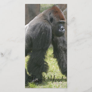 Morot överträffad gorilla med fluffig ärmar tack kort