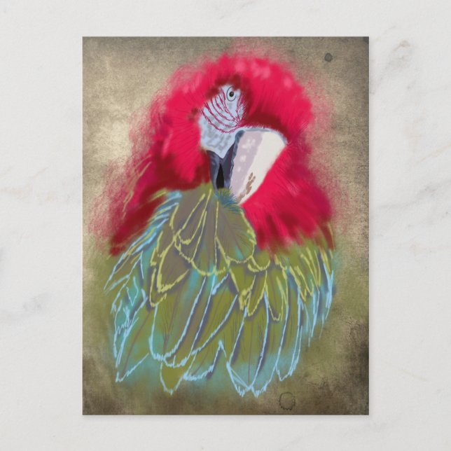 Morot - vykort (Framsida)