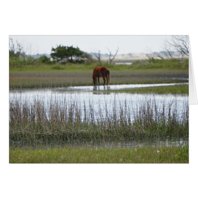 Morotö Hälsningskort (Framsidan Horizontal)