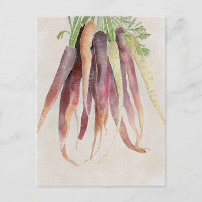 Morötter, 5x7 vykort (Framsida)