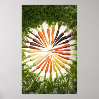 Morötter på många Färg på Canvas Poster