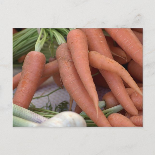 Morötter Vykort (Framsida)