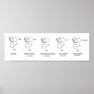 Morphine Diagram Poster