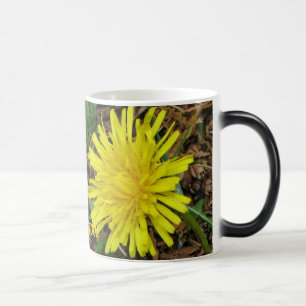 Morphing mugg av maskrosor