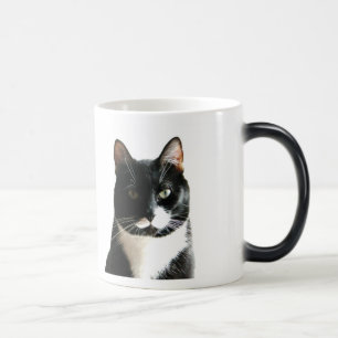 Morphing mugg för Bratkattstirrande