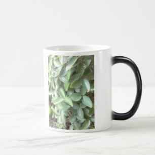 Morphing mugg för foto