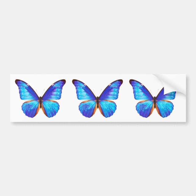 “Morpho”の優良製品 Bildekal (Framsidan)