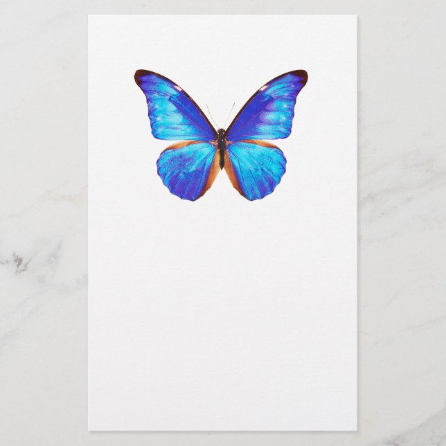 “Morpho”の優良製品 Brevpapper (Framsida)