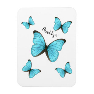 Morpho Butterflies tecknad illustration Magnet