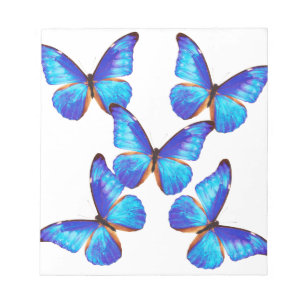 "Morpho Butterfly"の 優 良 製 品 Anteckningsblock