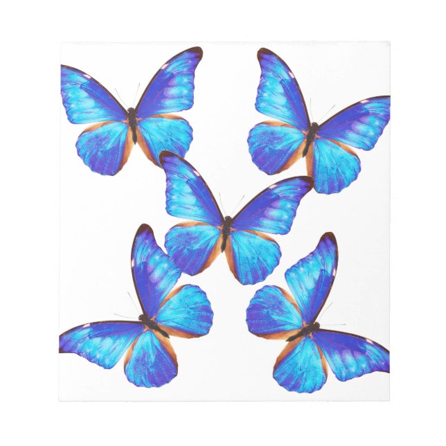 "Morpho Butterfly"の 優 良 製 品 Anteckningsblock (Framsida)