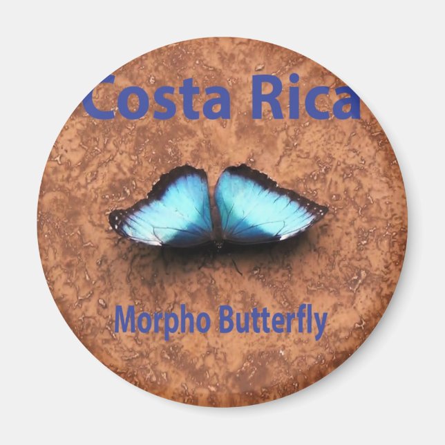Morpho butterfly Costa Rica Magnet (Framsidan)