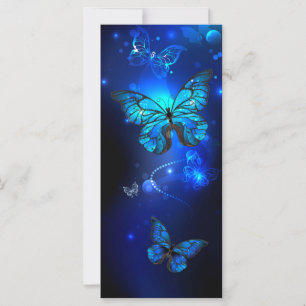 Morpho Butterfly i Mörkens bakgrund