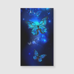 Morpho Butterfly i Mörkens bakgrund