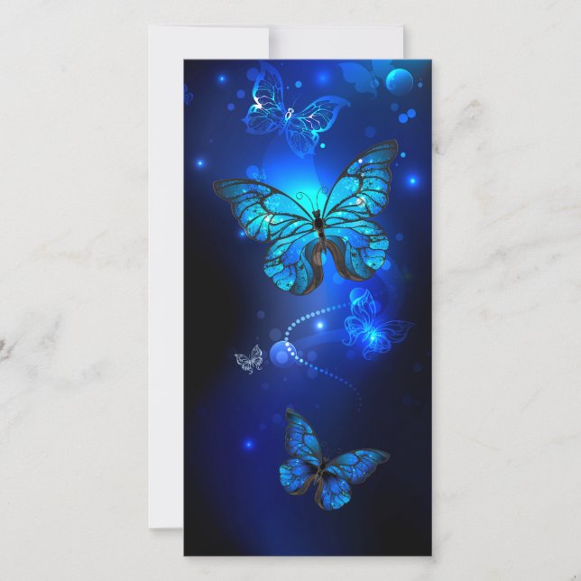 Morpho Butterfly i Mörkens bakgrund (Framsida)