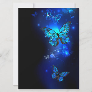 Morpho Butterfly i Mörkens bakgrund