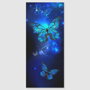 Morpho Butterfly i Mörkens bakgrund