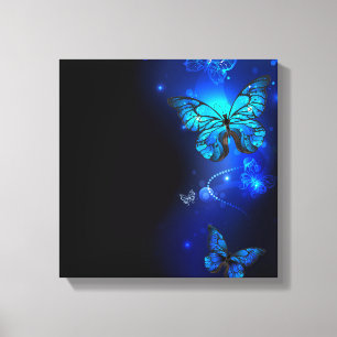 Morpho Butterfly i Mörkens bakgrund Canvastryck