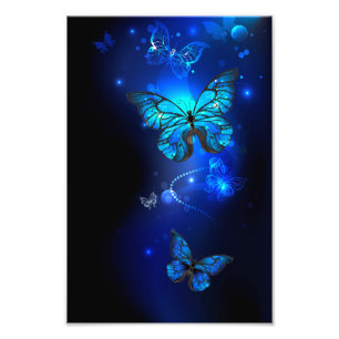 Morpho Butterfly i Mörkens bakgrund Fototryck