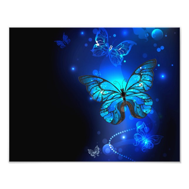 Morpho Butterfly i Mörkens bakgrund Fototryck (Framsidan)