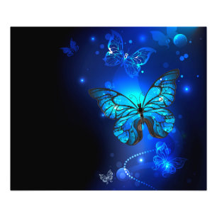 Morpho Butterfly i Mörkens bakgrund Fototryck