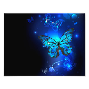 Morpho Butterfly i Mörkens bakgrund Fototryck