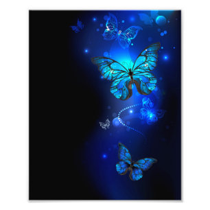 Morpho Butterfly i Mörkens bakgrund Fototryck
