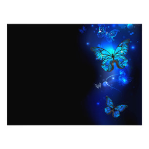 Morpho Butterfly i Mörkens bakgrund Fototryck