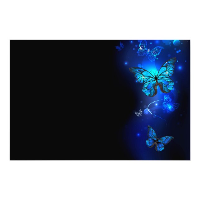 Morpho Butterfly i Mörkens bakgrund Fototryck (Framsidan)