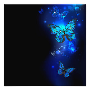 Morpho Butterfly i Mörkens bakgrund Fototryck
