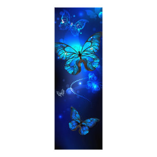 Morpho Butterfly i Mörkens bakgrund Fototryck