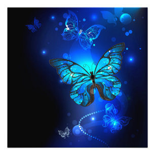 Morpho Butterfly i Mörkens bakgrund Fototryck