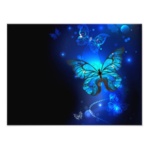 Morpho Butterfly i Mörkens bakgrund Fototryck