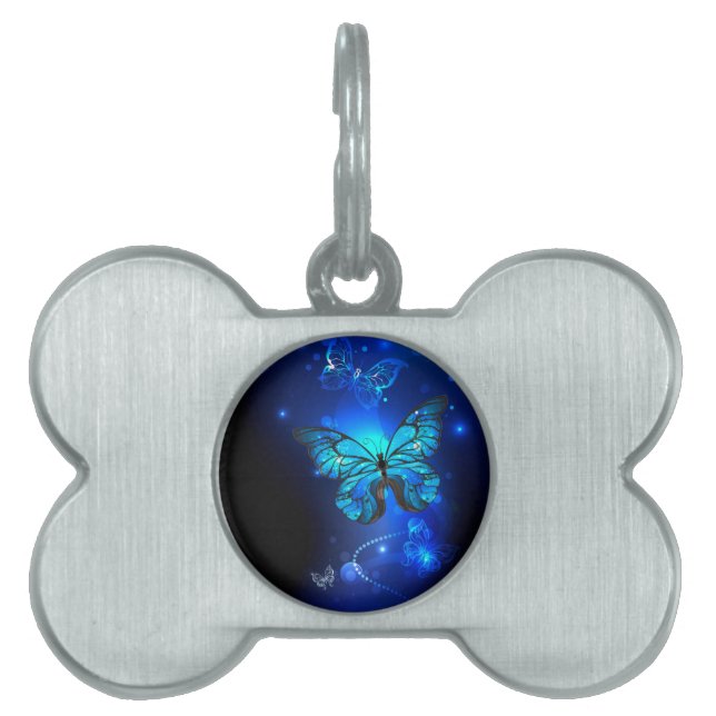 Morpho Butterfly i Mörkens bakgrund ID-bricka Husdjur (Framsidan)
