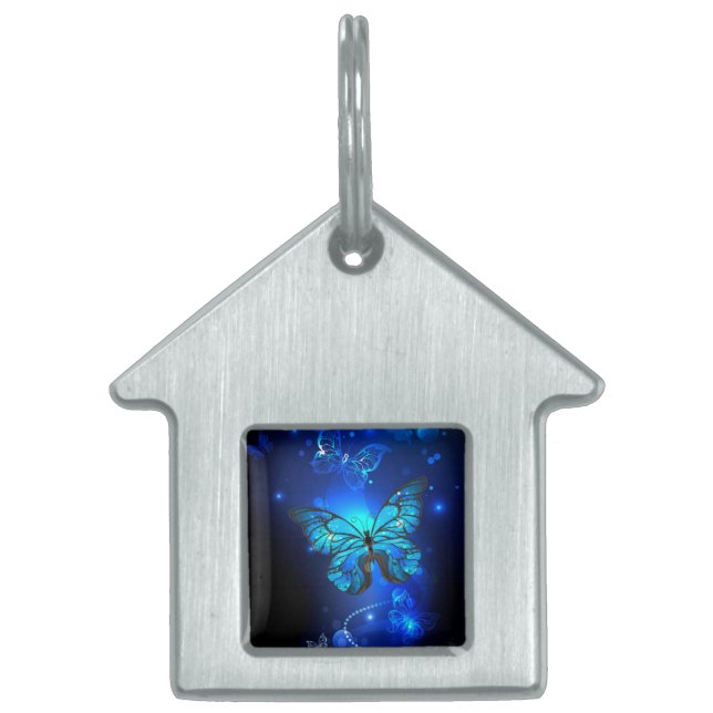 Morpho Butterfly i Mörkens bakgrund ID-bricka Husdjur (Framsidan)