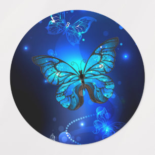 Morpho Butterfly i Mörkens bakgrund Klistermärke