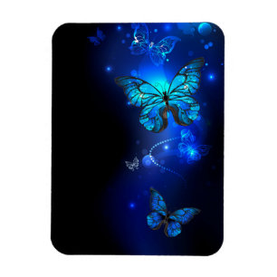 Morpho Butterfly i Mörkens bakgrund Magnet