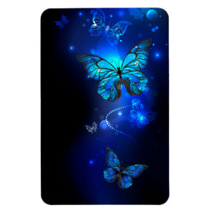 Morpho Butterfly i Mörkens bakgrund Magnet