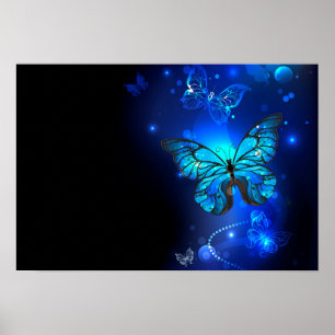 Morpho Butterfly i Mörkens bakgrund Poster