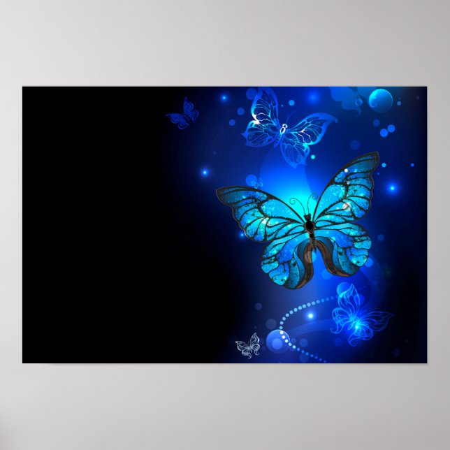 Morpho Butterfly i Mörkens bakgrund Poster (Framsidan)