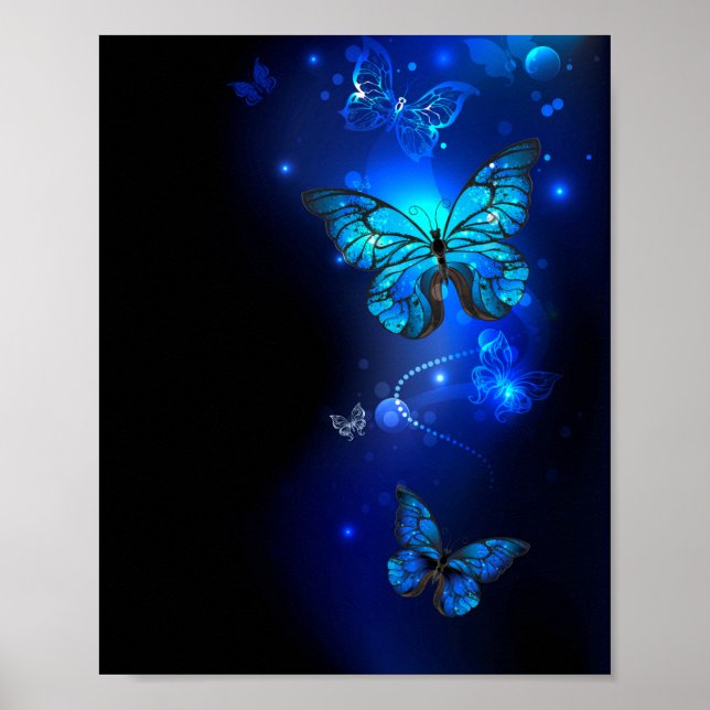 Morpho Butterfly i Mörkens bakgrund Poster (Framsidan)