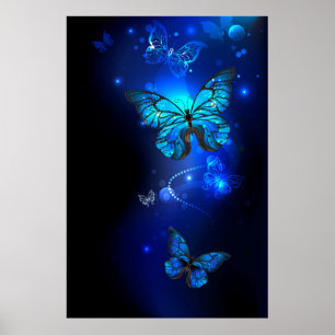 Morpho Butterfly i Mörkens bakgrund Poster